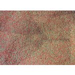 SFB Cichlid Star Gran - 50g